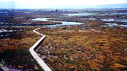 Boardwalk over Chicago Marsh from Environmental Center, Alviso