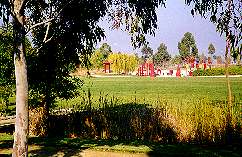 Sunnyvale Baylands Park lawn and playground