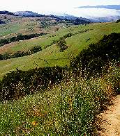 Bella Vista Trail, Monte Bello OSP