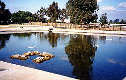 Casting ponds at Los Gatos Creek Park