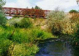 Bridge over Los Gatos Creek