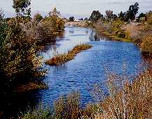 Los Gatos Creek from east bank of Los Gatos Creek