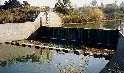 Dam at Los Gatos Creek Park