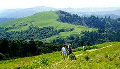 Mindego Hill from Russian Ridge OSP