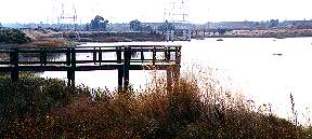 Stevens Creek Estuary