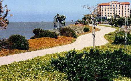 Bay Trail along Bay through Burlingame