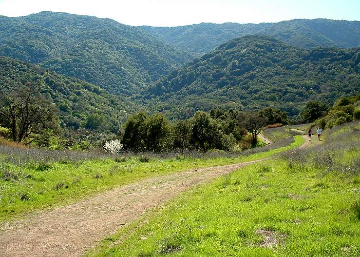 Guadalupe Trail