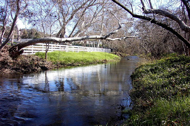 Los Alamitos Creek, San Jose