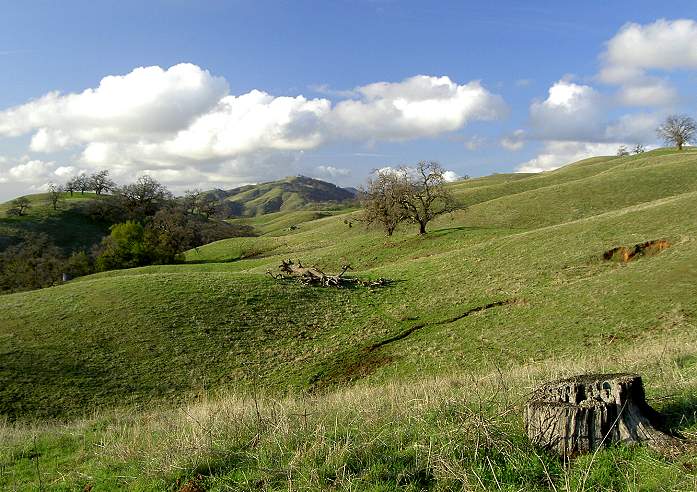 View from the Canada de Pala Trail