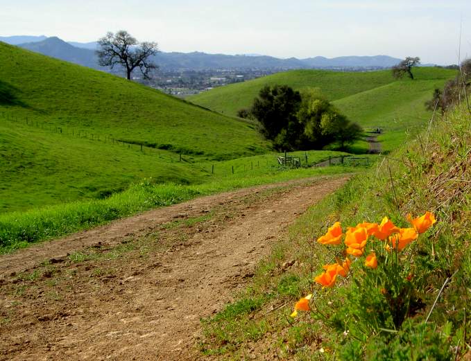Willow Springs Trail, Harvey Bear Ranch