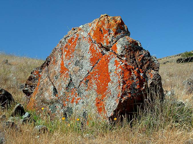 Red Rock on Bernal Hill