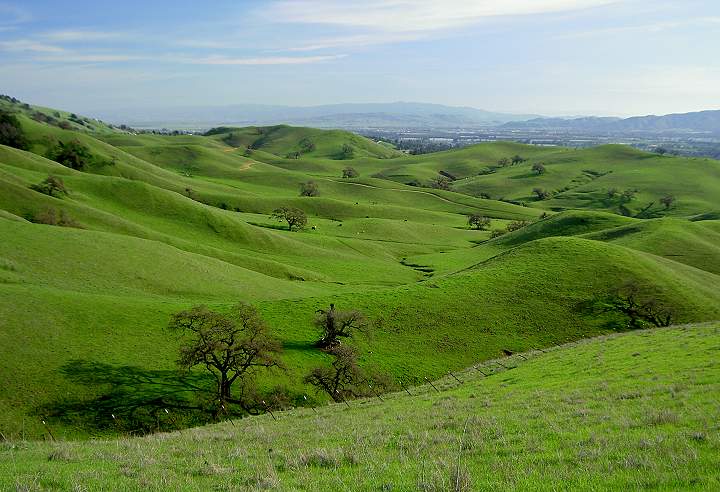 Harvey Bear Ranch Hills