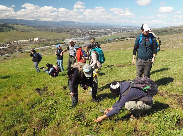Coyote Ridge BioBlitz, 3/4/18