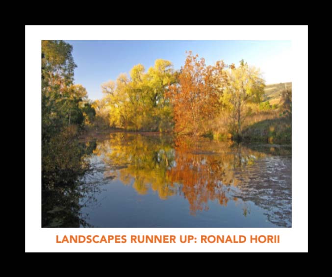 Coyote Valley photo contest runner-up: Coyote Creek