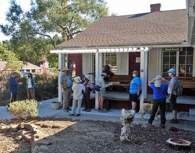 CNPS hike, McClellan Ranch Preserve, 10/3/21