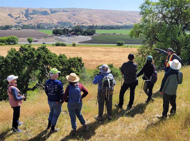 Spreckels Hill Photo Walk