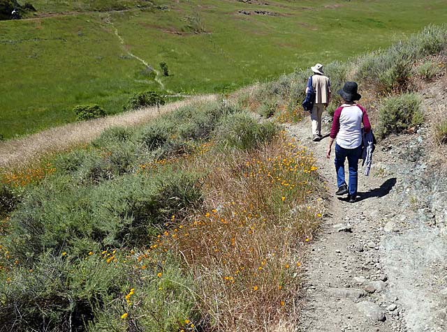 Stile Ranch Trail Hike 5/13/23