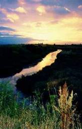 San Leandro Marsh at sunset