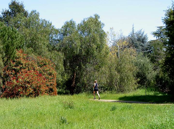 Pictures of the Stanford University Neighborhood and Surrounding Areas